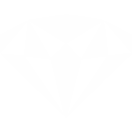 Integrity in Every Facet